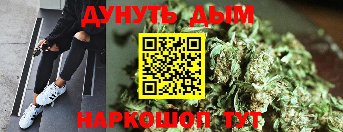 Конопля Bruce Banner Михайловка